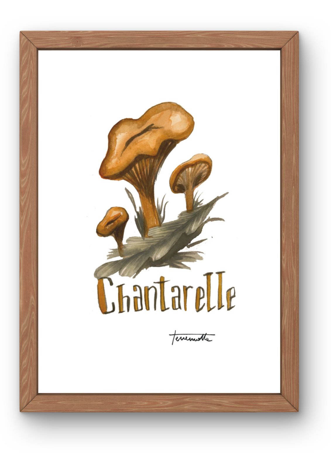 Lámina Chantarelle