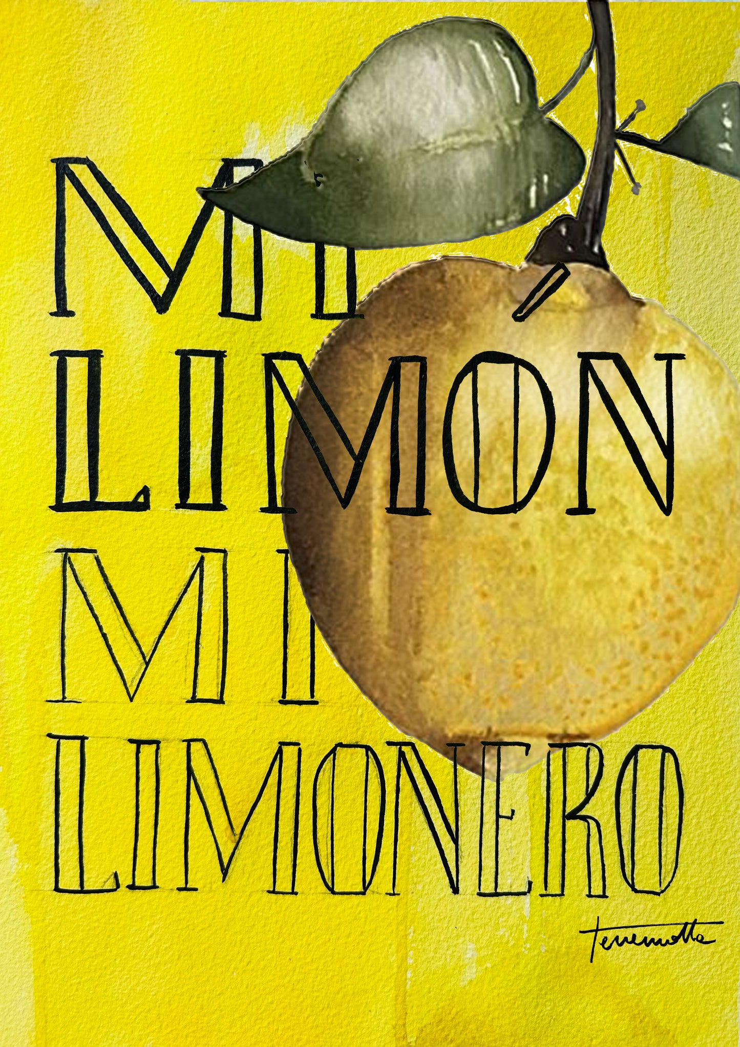 Lámina Mi Limonero