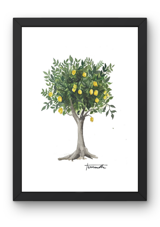 Lámina Limonero Arbol